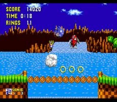 Sonic 1 Screenshot
